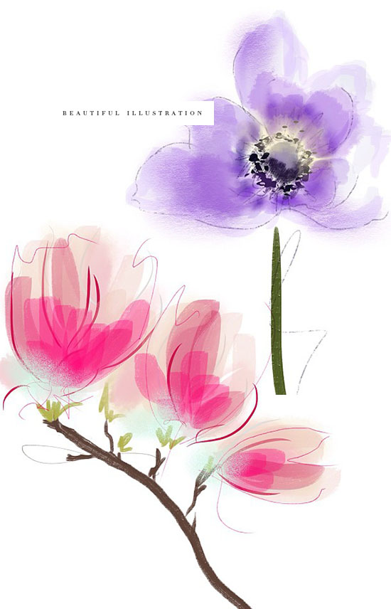 From the Desk of Liz Riden of The Modern Mademoiselle - illustration copy